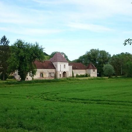 Chateau Des Roises Bucey-en-Othe Exteriér fotografie