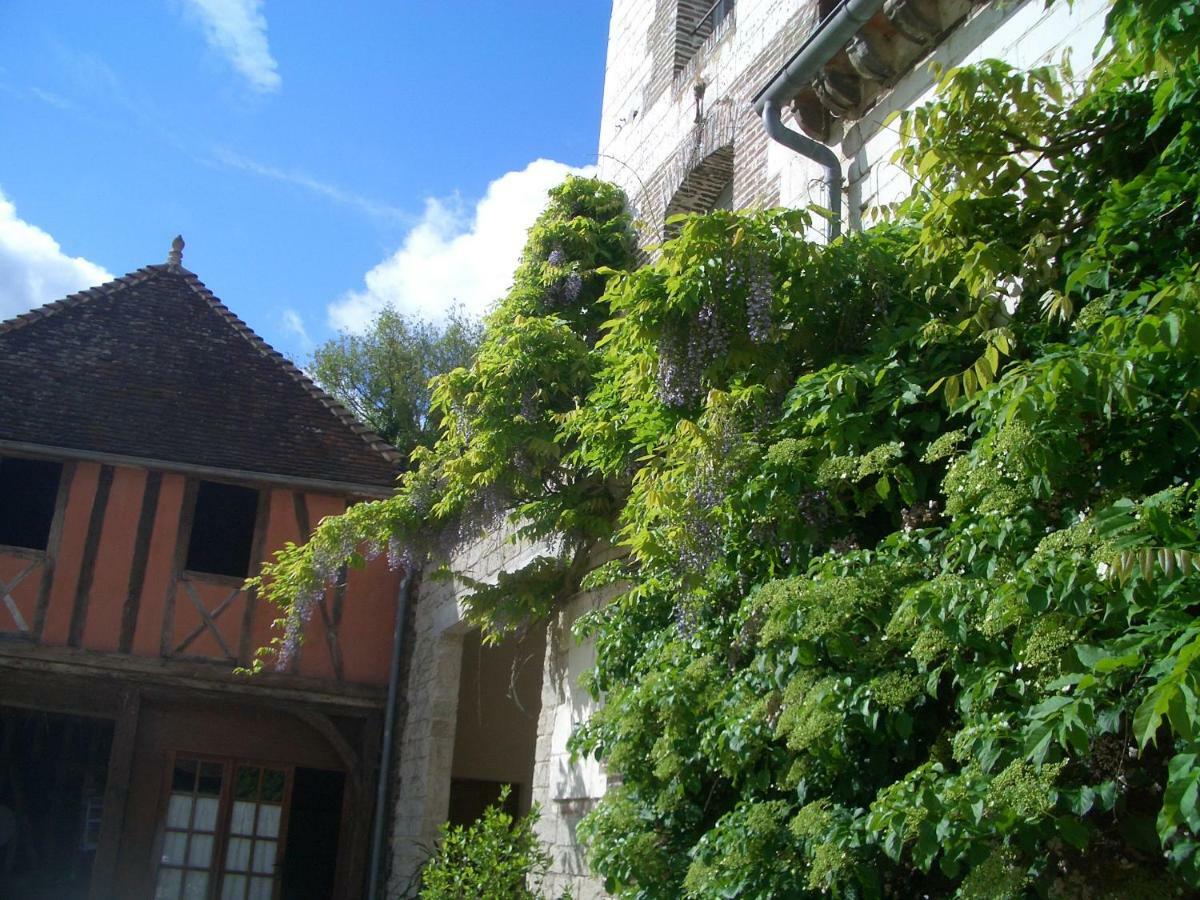 Chateau Des Roises Bucey-en-Othe Exteriér fotografie
